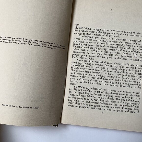 Vintage 10,000 Minutes at Sugar Creek by Paul Hutchens 1952 - Picture 8 of 9